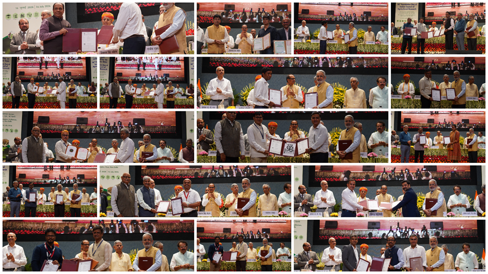 photo-collage-png (1)